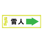雷人