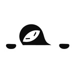 车小贼