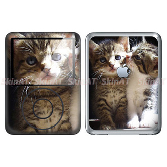 KISSCAT