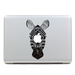 MacBook与斑马